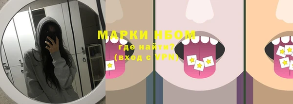 ПСИЛОЦИБИНОВЫЕ ГРИБЫ Арсеньев