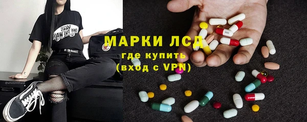 ПСИЛОЦИБИНОВЫЕ ГРИБЫ Арсеньев