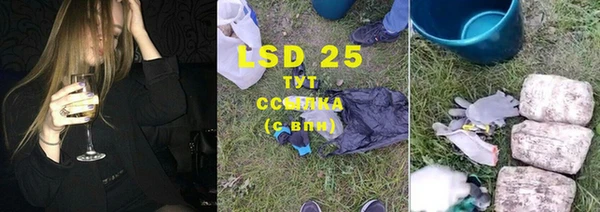ПСИЛОЦИБИНОВЫЕ ГРИБЫ Арсеньев