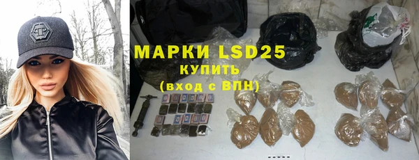 ПСИЛОЦИБИНОВЫЕ ГРИБЫ Арсеньев