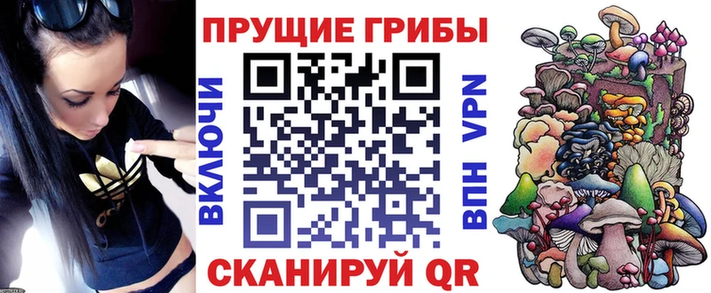 Псилоцибиновые грибы Psilocybe  закладка  blacksprut онион  Кизел 